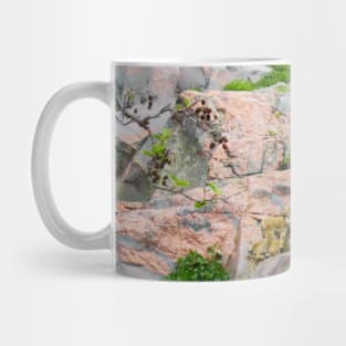 Goat Mother's Love Mug